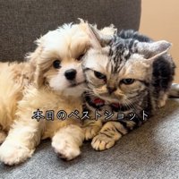 とっても仲良し