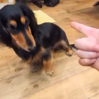 えっと