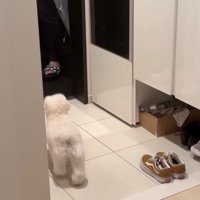 「まってた！！」