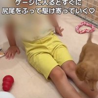 息子さんの元へ…