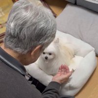 おじいちゃん