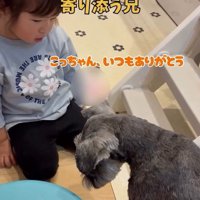 女の子に寄り添うこたろう君3