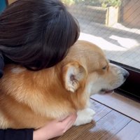 ハグするお姉ちゃん