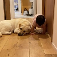 赤ちゃんが通過中…