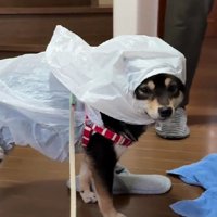 不服そうな顔だけど…