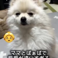 目がちっさい…