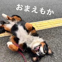 ジェニちゃんも…！！