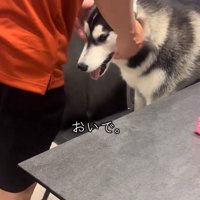 パパのそばへいくニーナちゃん