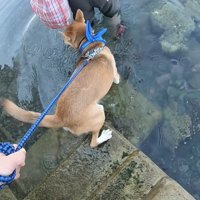 初めて海の中へ…