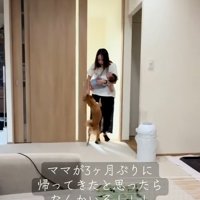 ママとの再会を喜ぶまるくん