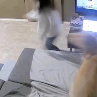 全力追いかけっこがスタート