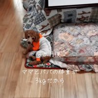 3か月後のラテくん