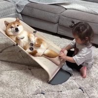 ベルトを留めてあげた