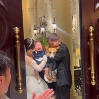 飼い主さんご家族と中型犬