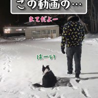 「マテだよー」と言って歩き出したら…
