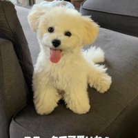 チャームポイントに♡