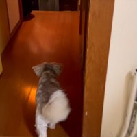 お出迎えするために玄関へ