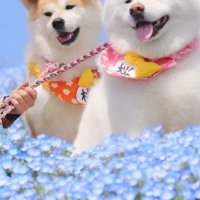 2匹とも可愛すぎる♡