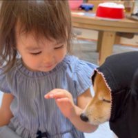 困惑顔のすずちゃん