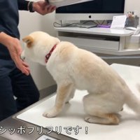すっかり先生が大好きに♪