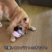 気持ちを切り替えて遊び始めました♪