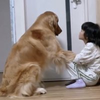 前足を乗せる犬