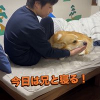 「絶対一緒に寝る！」