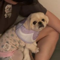 「もうママなんて信じない！」