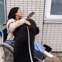 車椅子の女性に飛びつく犬