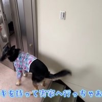 おばあちゃんの家へ