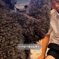 男の子の頭を前足でたたき続ける犬