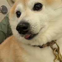 動物病院