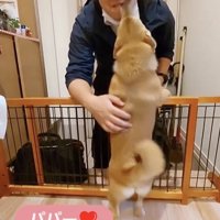 「だいすき！」が止まらない