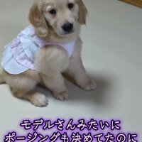 ヒラヒラのピンクのワンピース