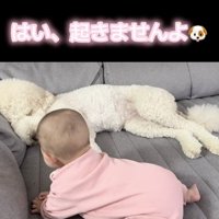 まだまだ寝るみたい