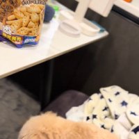 くまちゃんに「おやつほしいの？」と聞いたら6