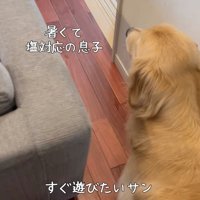 切ない後ろ姿…