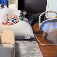 赤ちゃんを遊びに誘うらんちゃん6