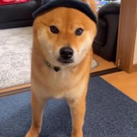 思わぬ事態が発生