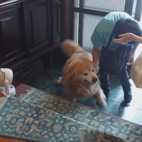 「また戻ったら嫌だよ！」