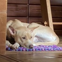 ここが私の新しい家♡