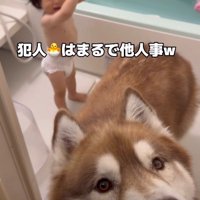 赤ちゃんは気にしない