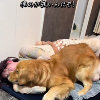 激しい攻撃が…！！