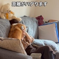 エルモちゃんのおもてなし2