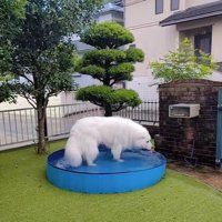 プールのサイズが合わないミントくん