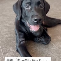笑顔いっぱいの毎日です