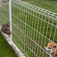 外で遊んでいた幸太郎くんと凛ちゃん4