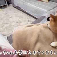 ほのちゃんも座れたよ