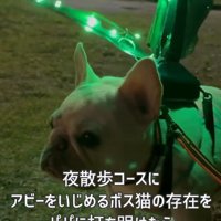 ピカピカ光って揺れる