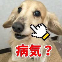 さらお君を病院に連れて行ったら